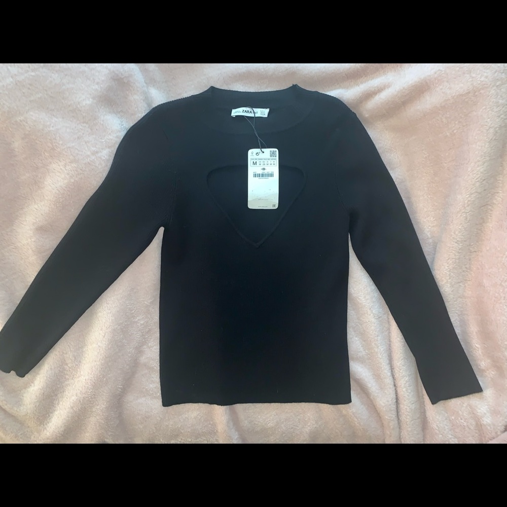 ZARA Knit Collection Sweater